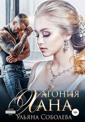 Обложка книги https://knigi.click/1868-agonija-hana.html