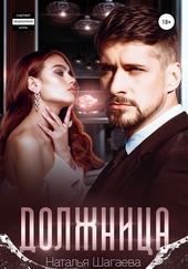 Обложка книги https://knigi.click/1535-dolzhnica.html