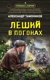 Обложка книги https://knigi.click/1263-leshij-v-pogonah.html