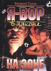 Обложка книги https://knigi.click/986-na-zone.html