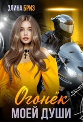 Обложка книги https://knigi.click/994-ogonek-moej-dushi.html