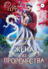 Обложка книги https://knigi.click/456-popadanka-dlja-princa-ili-zhena-iz-prorochestva-chast-1.html