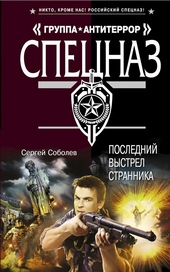 Обложка книги https://knigi.click/1176-poslednij-vystrel-strannika.html