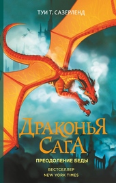 Обложка книги https://knigi.click/921-preodolenie-bedy.html