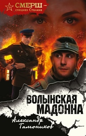 Обложка книги https://knigi.click/732-volynskaja-madonna.html