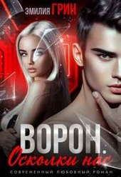 Обложка книги https://knigi.click/165-voron-oskolki-nas.html
