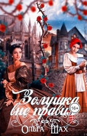 Обложка книги https://knigi.click/940-zolushka-vne-pravil.html