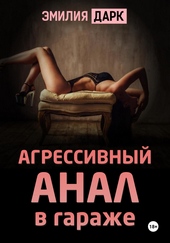 Обложка книги https://knigi.click/2441-agressivnyj-anal-v-garazhe.html
