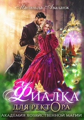 Обложка книги https://knigi.click/2443-akademija-hozjajstvennoj-magii-fialka-dlja-rektora.html