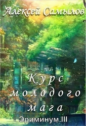 Обложка книги https://knigi.click/3617-kurs-molodogo-maga.html