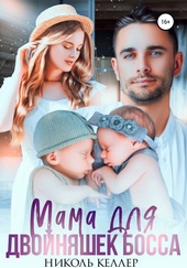 Обложка книги https://knigi.click/3062-mama-dlja-dvojnjashek-bossa.html