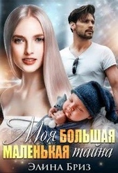Обложка книги https://knigi.click/3673-moja-bolshaja-malenkaja-tajna.html