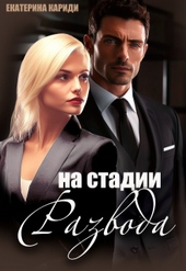 Обложка книги https://knigi.click/2273-na-stadii-razvoda.html