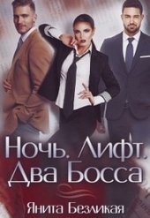 Обложка книги https://knigi.click/3133-noch-lift-dva-bossa-si.html