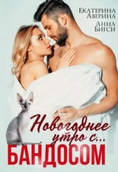 Обложка книги https://knigi.click/2661-novogodnee-utro-s-bandosom.html