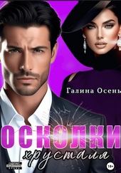Обложка книги https://knigi.click/3772-oskolki-hrustalja.html