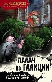 Обложка книги https://knigi.click/2030-palach-iz-galicii.html