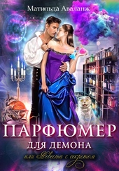 Обложка книги https://knigi.click/2690-parfjumer-dlja-demona-ili-nevesta-s-sekretom.html