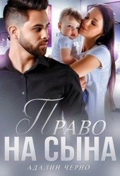 Обложка книги https://knigi.click/3824-pravo-na-syna.html