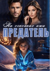 Обложка книги https://knigi.click/3212-predatel-na-oskolkah-lzhi.html