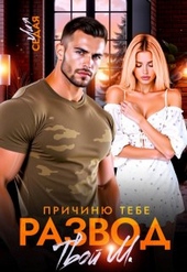 Обложка книги https://knigi.click/2336-prichinju-tebe-razvod-tvoj-m-si.html