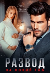 Обложка книги https://knigi.click/3853-razvod-na-novyj-god.html