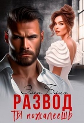Обложка книги https://knigi.click/2732-razvod-ty-pozhaleesh-si.html