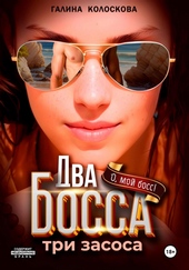 Обложка книги https://knigi.click/5314-dva-bossa-tri-zasosa.html