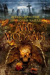 Обложка книги https://knigi.click/5321-dve-mogily.html