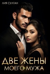 Обложка книги https://knigi.click/5323-dve-zheny-moego-muzha.html