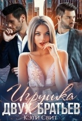Обложка книги https://knigi.click/5473-igrushka-dvuh-bratev.html