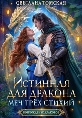 Обложка книги https://knigi.click/4322-istinnaja-dlja-drakona-mech-treh-stihij.html