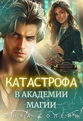 Обложка книги https://knigi.click/5549-katastrofa-v-akademii-magii-si.html