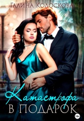 Обложка книги https://knigi.click/5552-katastrofa-v-podarok.html