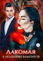 Обложка книги https://knigi.click/5649-lakomaja-v-akademii-vampirov.html