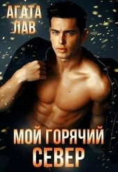 Обложка книги https://knigi.click/4501-moj-gorjachij-sever.html