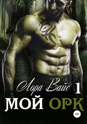 Обложка книги https://knigi.click/5755-moj-ork.html