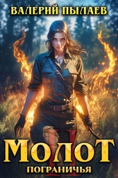 Обложка книги https://knigi.click/5774-molot-pogranichja-kniga-ii.html