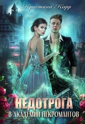 Обложка книги https://knigi.click/5851-nedotroga-v-akademii-nekromantov.html