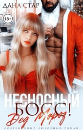 Обложка книги https://knigi.click/5872-nesnosnyj-boss-ded-moroz-si.html