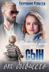 Обложка книги https://knigi.click/5924-novogodnij-roman-ili-syn-ot-byvshego.html