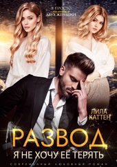 Обложка книги https://knigi.click/4763-razvod-ja-ne-hochu-ee-terjat.html