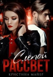 Обложка книги https://knigi.click/4852-slepoj-rassvet.html