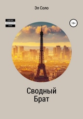 Обложка книги https://knigi.click/4897-svodnyj-brat.html