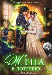 Обложка книги https://knigi.click/4046-zhena-v-lotereju.html