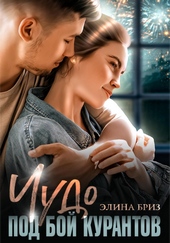 Обложка книги https://knigi.click/7038-chudo-pod-boj-kurantov.html
