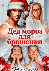 Обложка книги https://knigi.click/7071-ded-moroz-dlja-broshenki.html