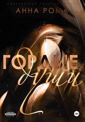 Обложка книги https://knigi.click/7337-gordye-dushi.html