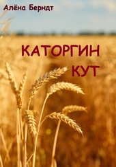 Обложка книги https://knigi.click/7667-katorgin-kut.html