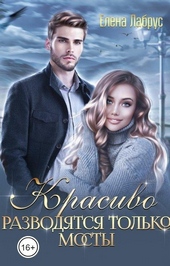 Обложка книги https://knigi.click/7820-krasivo-razvodjatsja-tolko-mosty.html